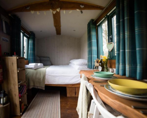 Shire the Shepherd's Hut at Pentref Luxury Camping